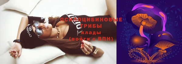 винт Белокуриха