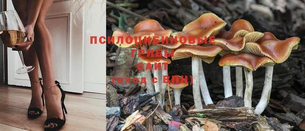 винт Белокуриха