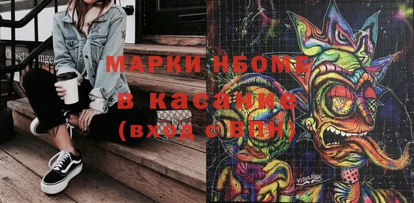 дурь Няндома