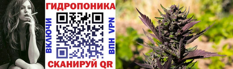 Бошки Шишки Amnesia  Купить  Старый Крым 